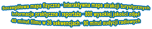 Zawartość płyty